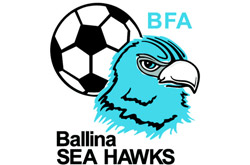 Professional Academy
