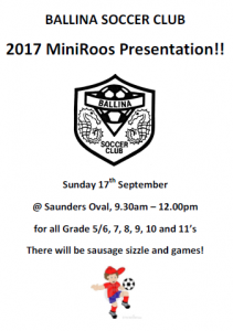 2017 MiniRoos Presentation Flyer